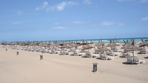 Une plage bordée de rangées de chaises longues et d’ombrelles en chaume, un ciel dégagé et l’océan en toile de fond.