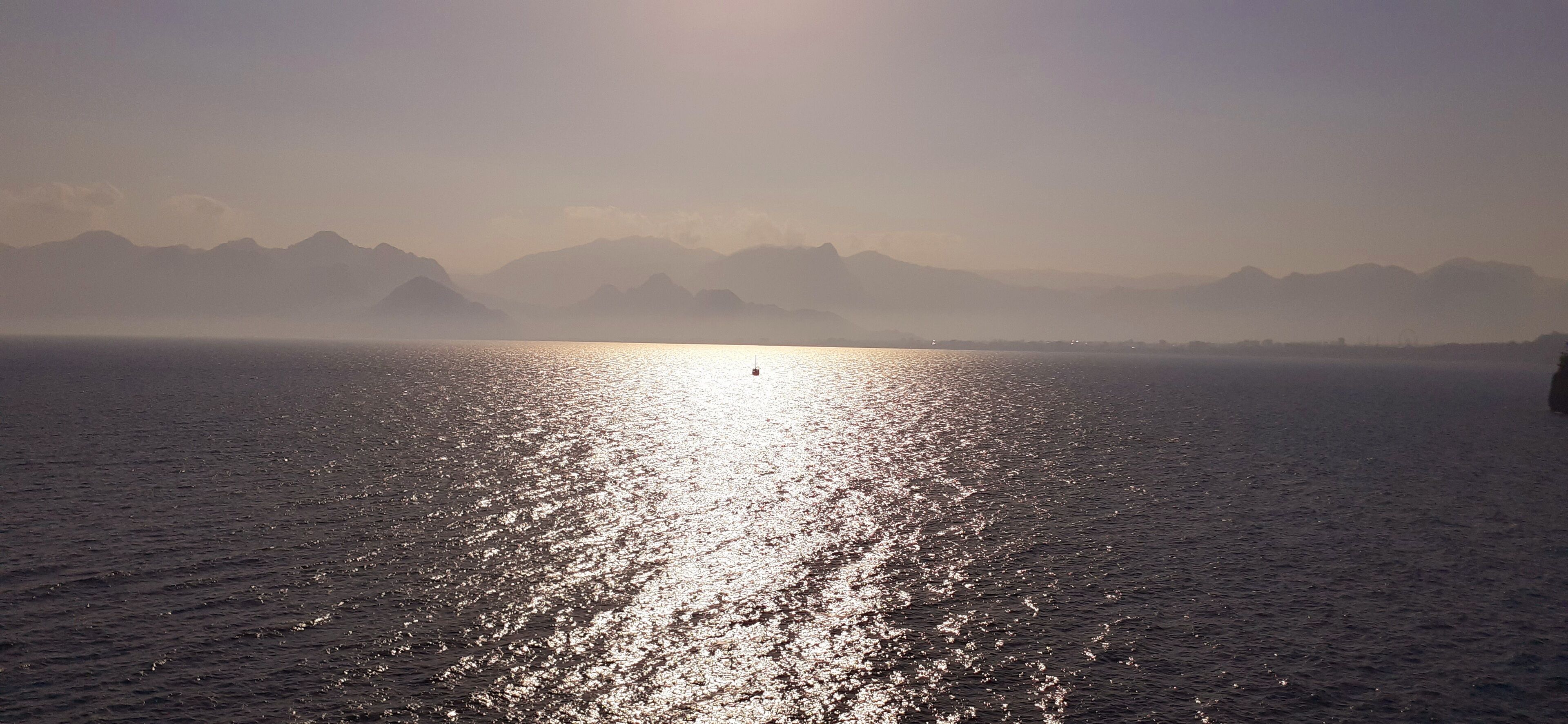 Foto - Gold Coast Hostel