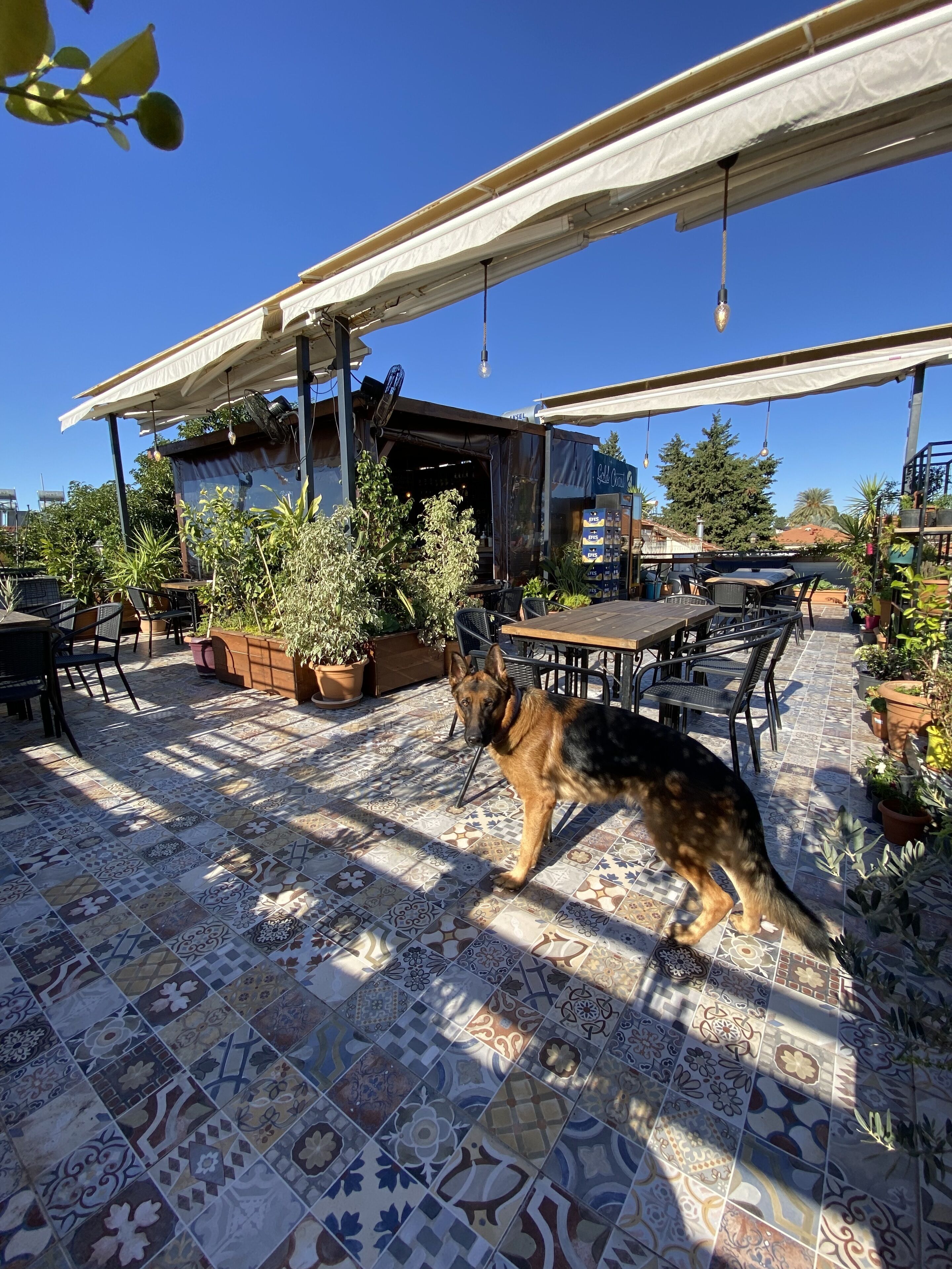 Foto - Gold Coast Hostel