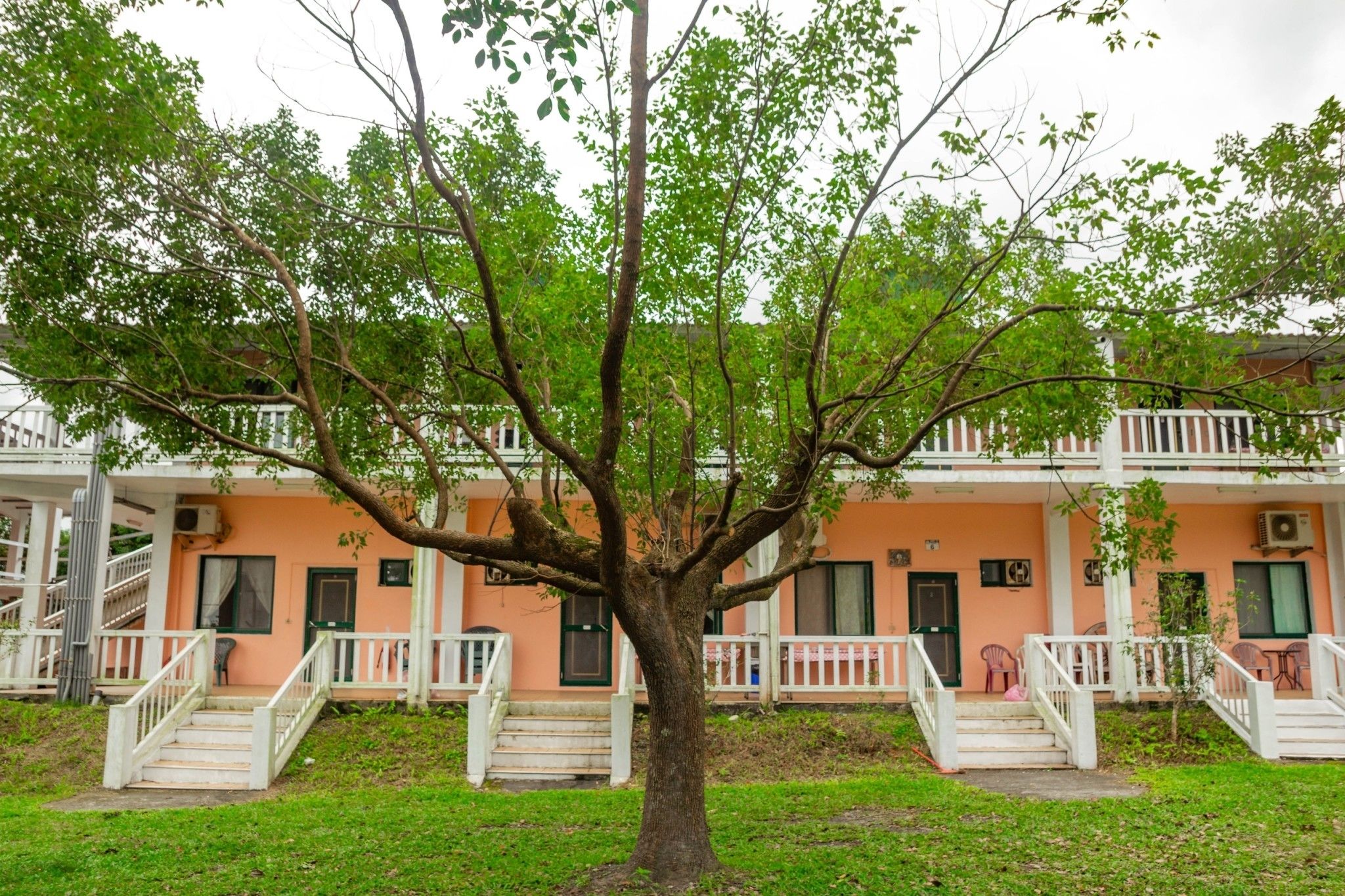A building with a tree in front, white railings, and steps leading to the entrance.