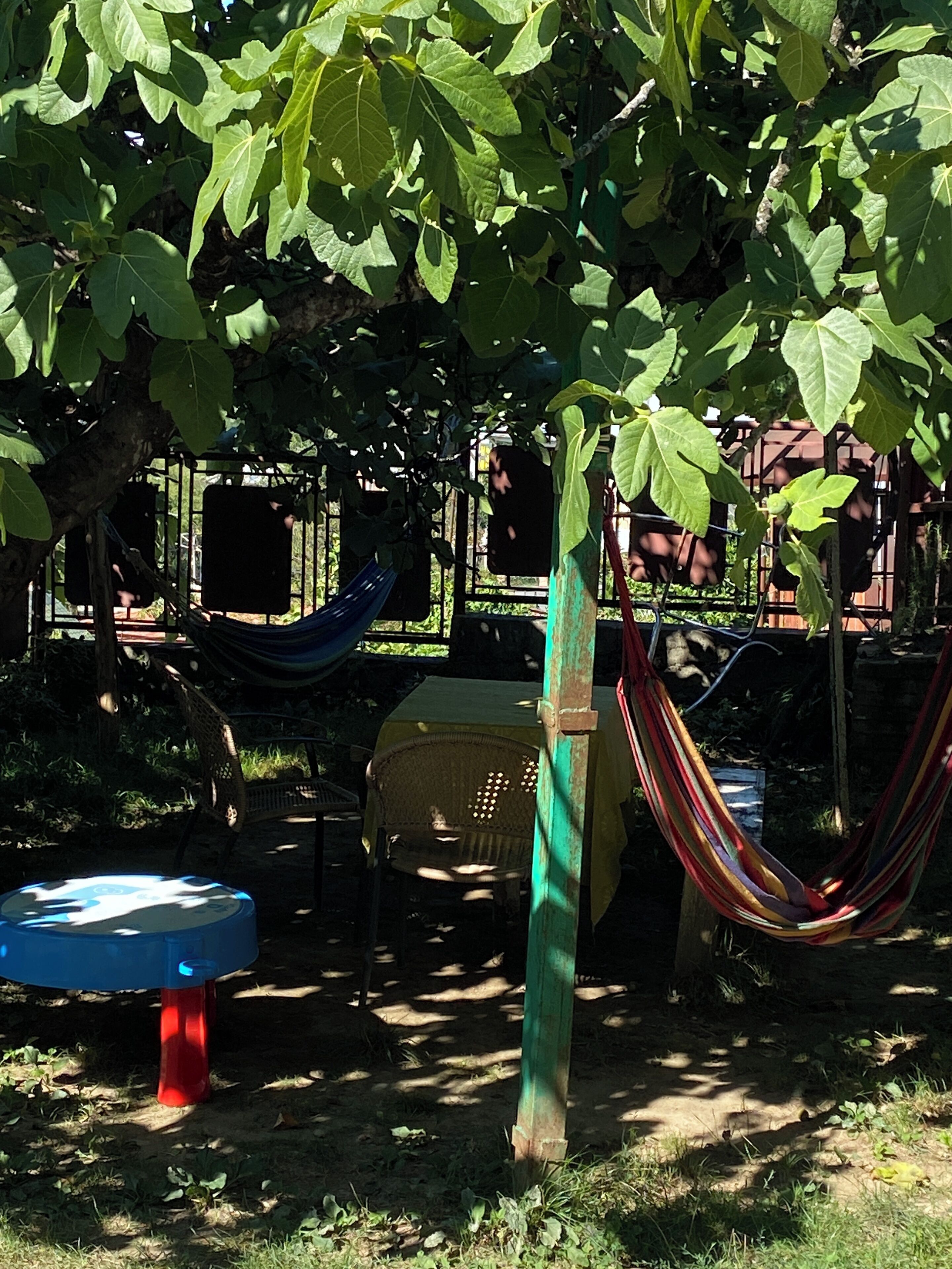 Foto - Green House Guest house