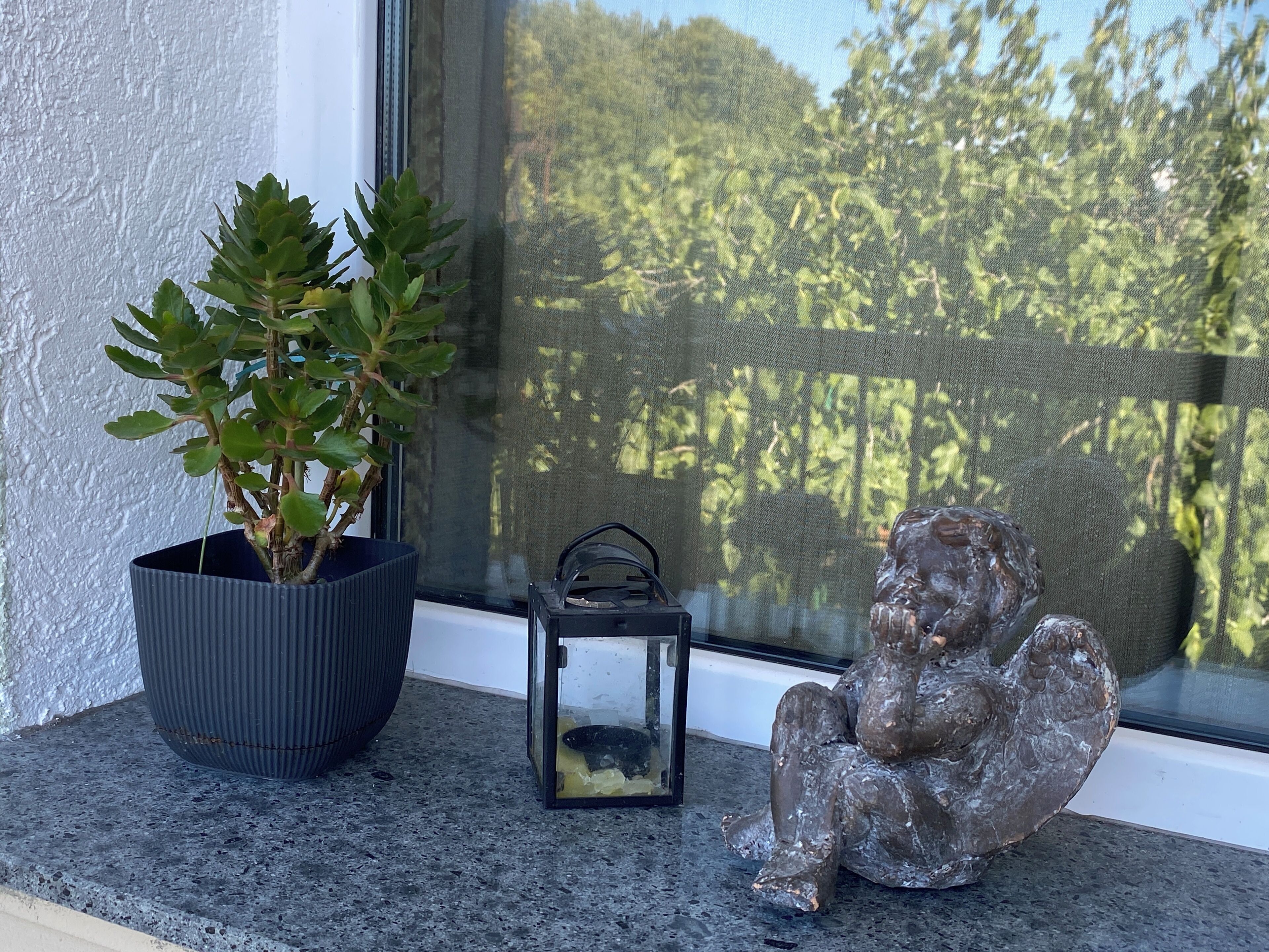 Foto - Green House Guest house