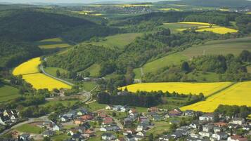 A rural landscape with fields of yellow flowers, a small village, and wind turbines in the distance.