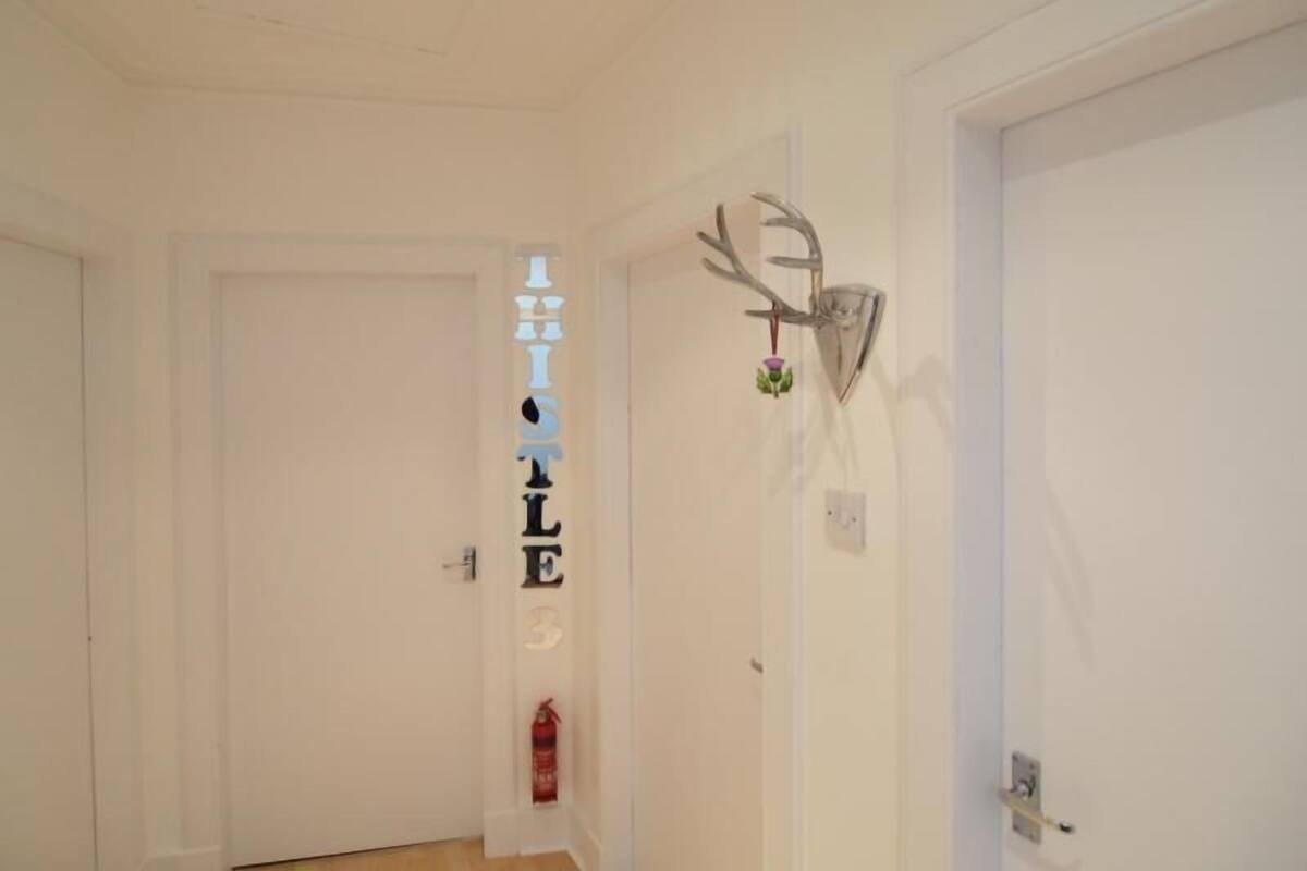 A hallway with a white door, a wall-mounted deer antler, and a vertical sign with letters.