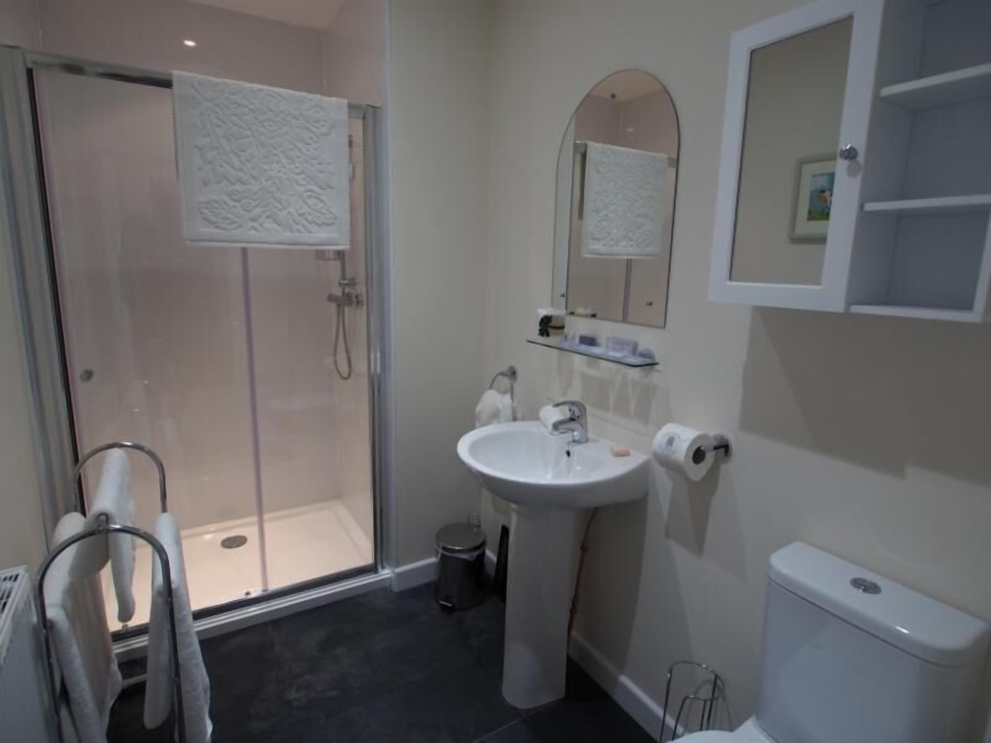 A modern bathroom with a glass shower enclosure, a pedestal sink, a toilet, and a mirror above the sink.