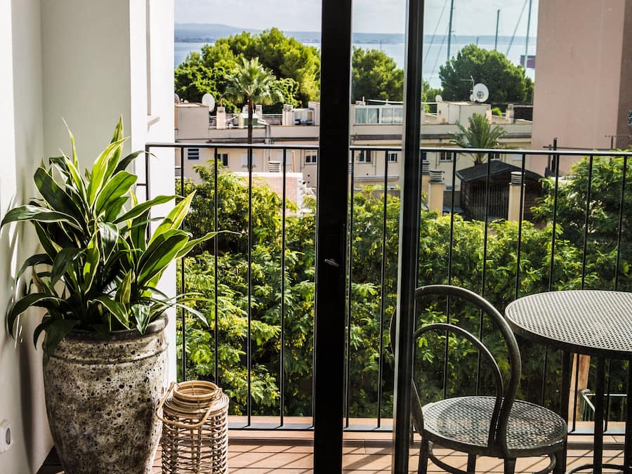 Vista desde la habitación