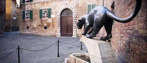 Parco della struttura