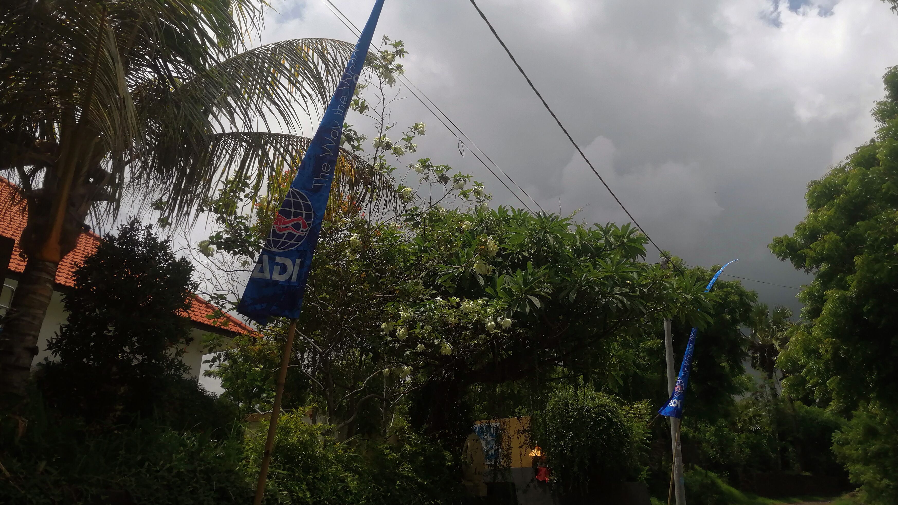 Eine Flagge mit dem Text "ADI" und einem Logo, umgeben von üppiger Vegetation und einem Gebäude mit roten Ziegeldach.
