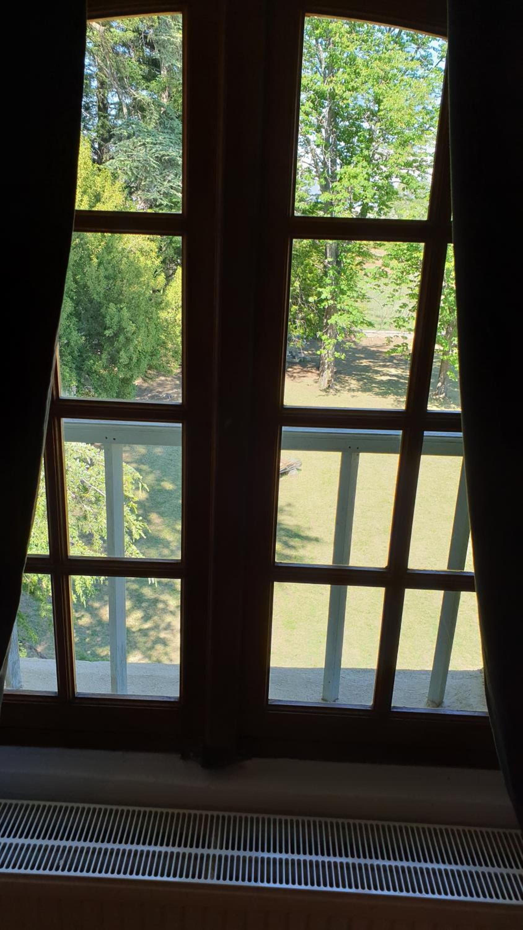 Une fenêtre donnant sur une cour et des arbres.