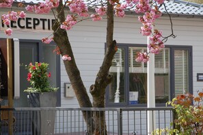 Front of property - Fortduinen Campsite (Cromvoirt)