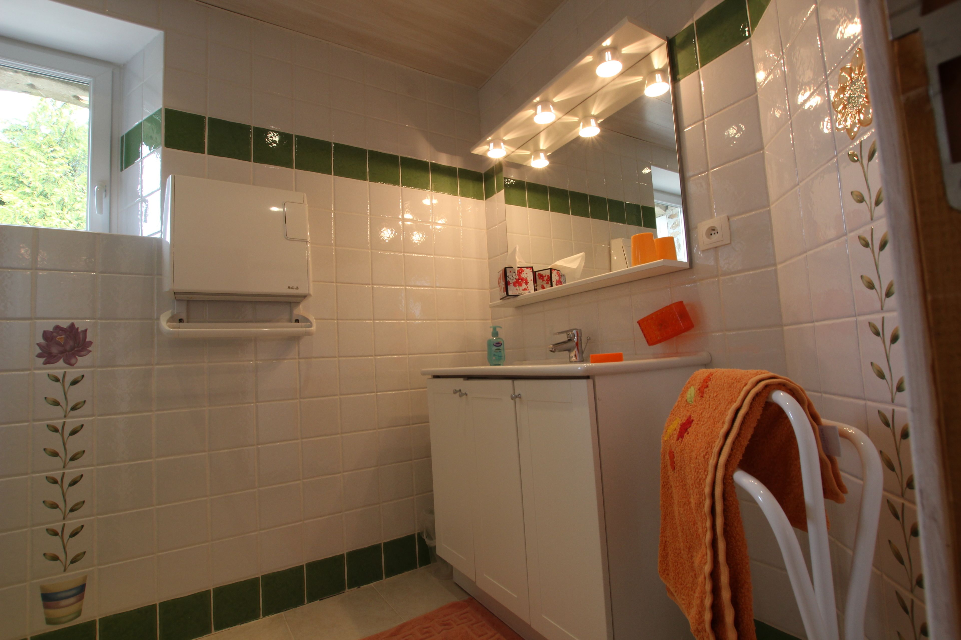 Une salle de bain avec des carreaux blancs, une bande verte, un miroir, un porte-serviettes et un lavabo avec des articles de toilette.