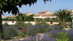A residential area with houses, a garden with lavender, and palm trees. - Relaxing Stay Near the Sea (Le Barcares)