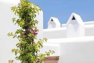 Detalhe da parte interna