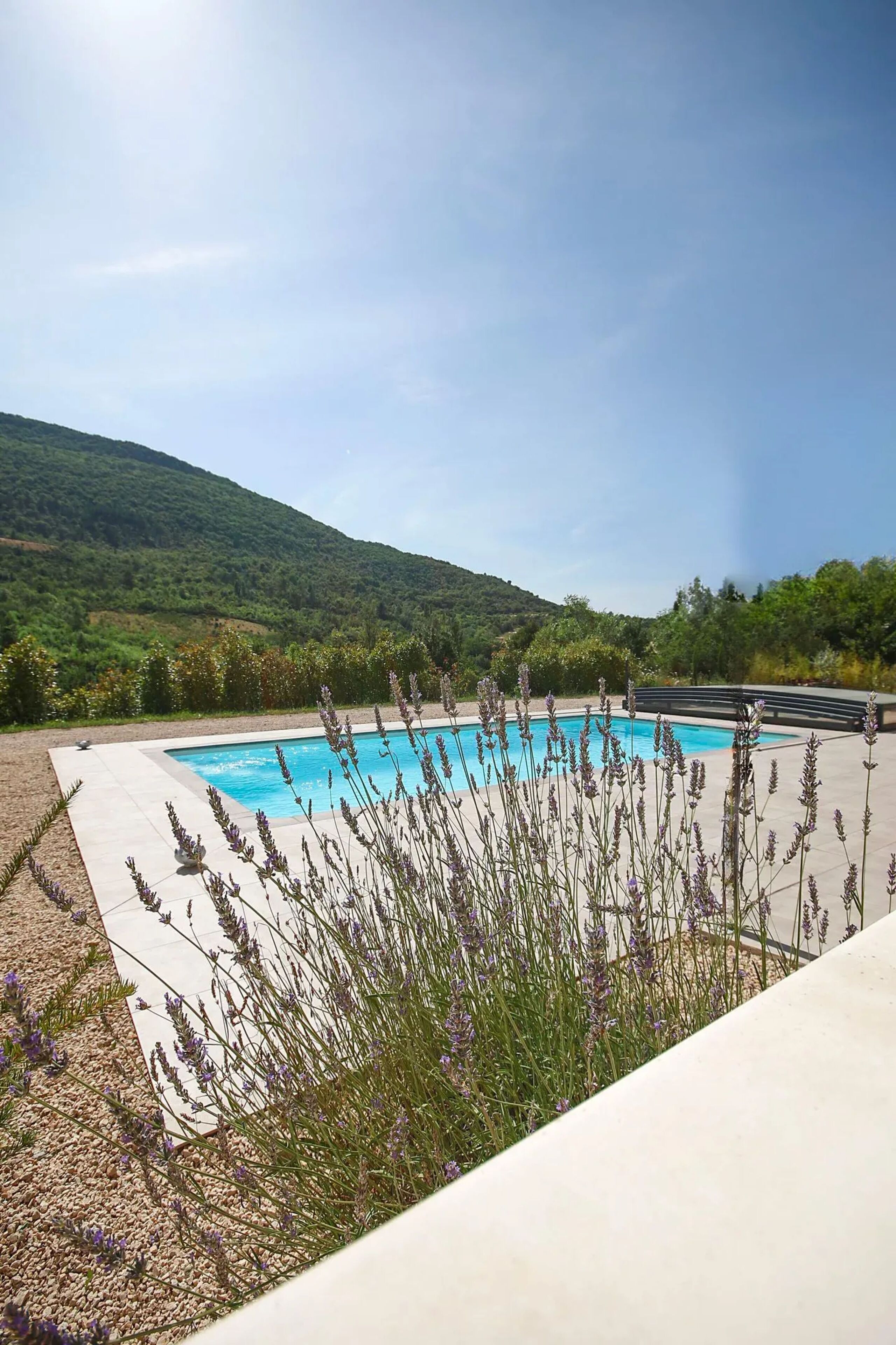 Piscina com montanhas ao fundo, rodeada por plantas de lavanda.
