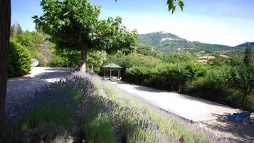 Un sendero de grava conduce a un pabellón, rodeado de campos de lavanda y árboles, con una montaña al fondo.