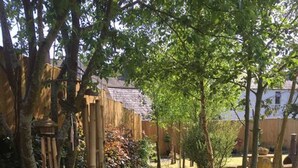 A garden with a wooden fence, trees, and a stone pathway. - Vollie House (Thornhill)