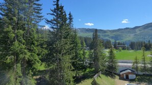 Eine gebirgige Landschaft mit dichten Nadelbäumen, einem kleinen Gebäude mit Schrägdach und blauem Himmel.
