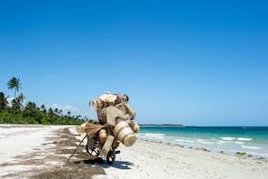 Beach - The Tides Lodge (Pangani)