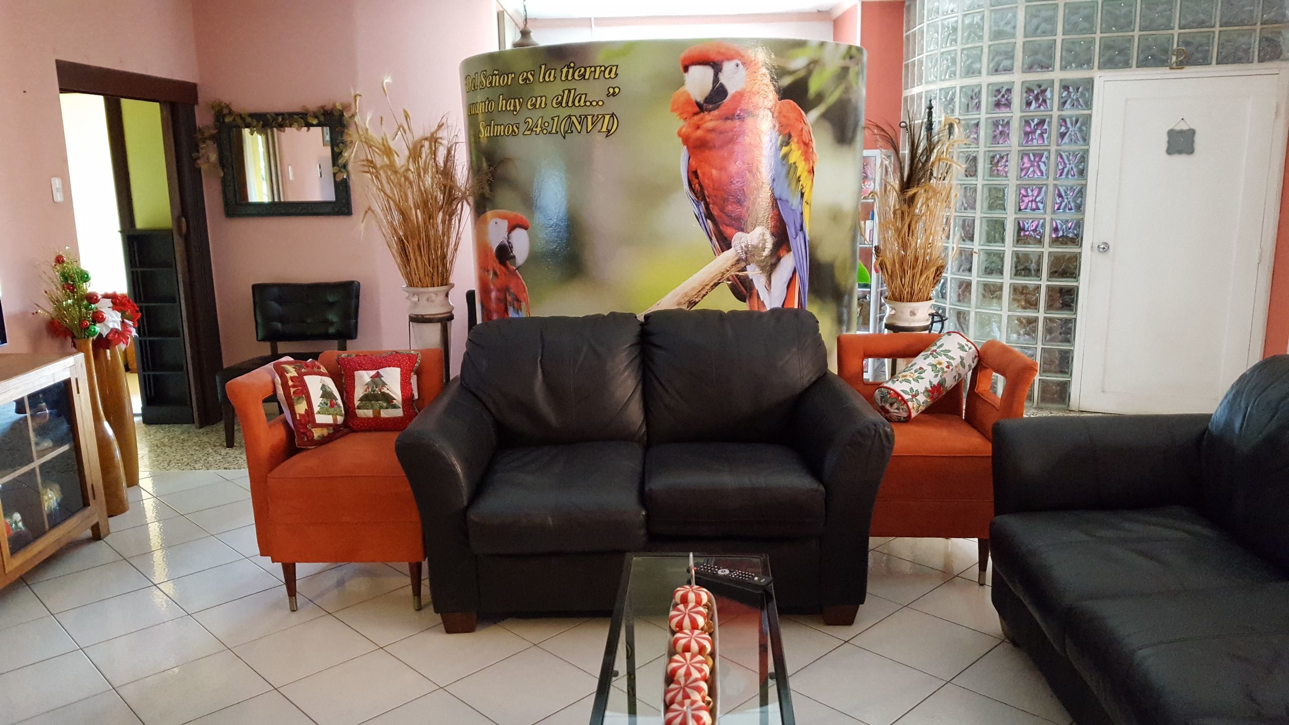 Bed & Breakfast the Rock