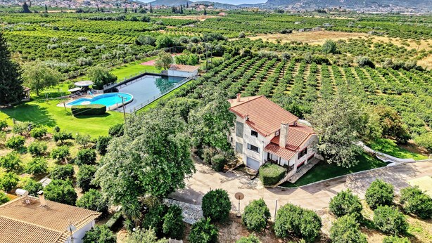 A large house with a swimming pool and vineyard. - Orange Grove Villa (Nafplio)