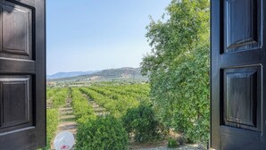 An open door revealing a vineyard with rows of grapevines and a basketball hoop in the foreground. - Orange Grove Villa (Nafplio)