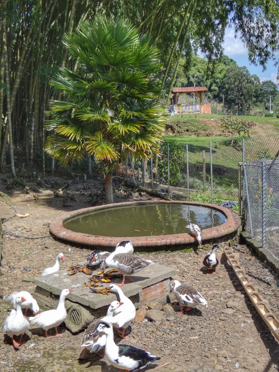 Finca Turística Los Rosales