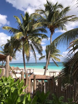 A beach view with palm trees and a wooden fence. - Central Park by Tulumeando (Tulum)