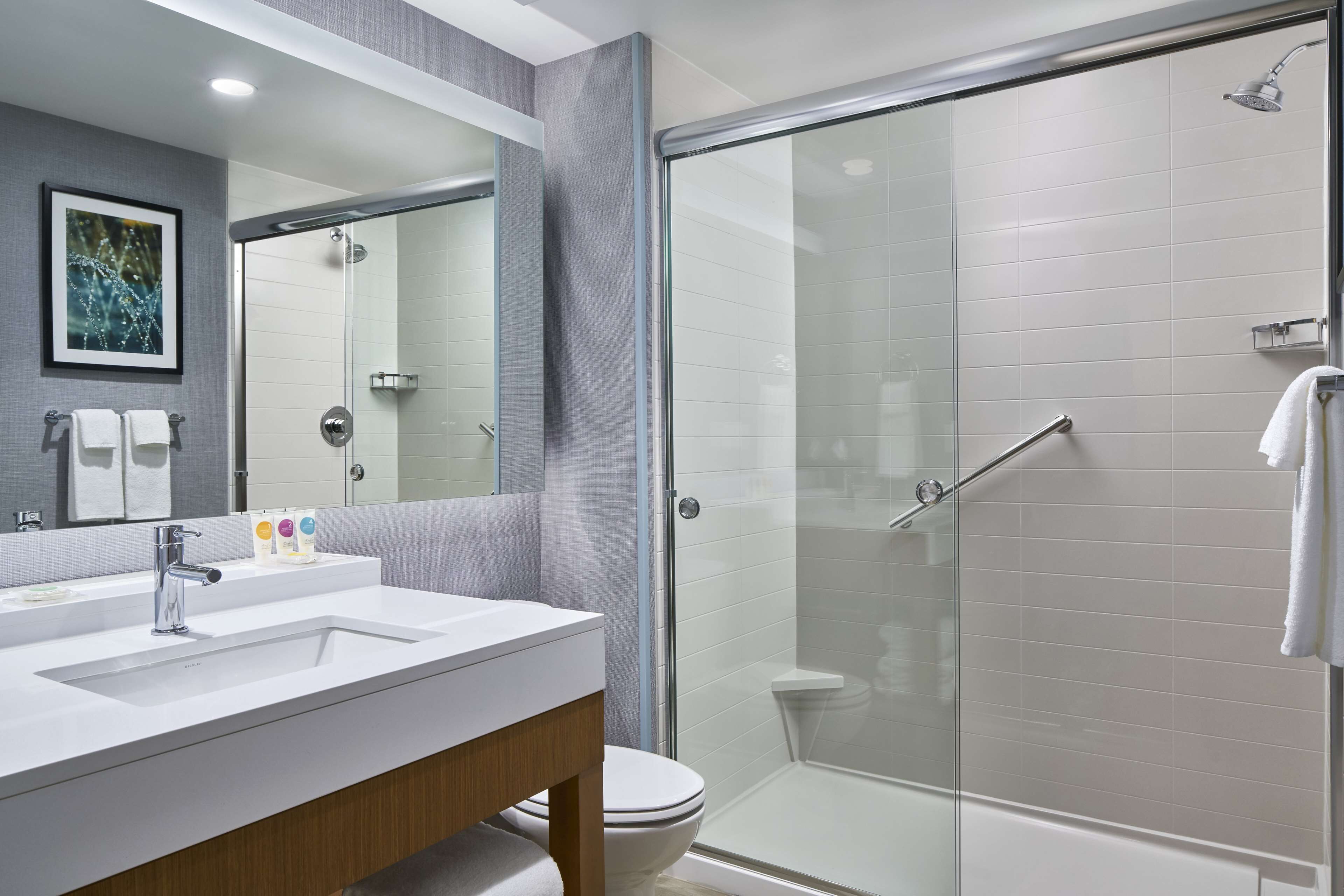 A modern bathroom with a glass shower enclosure, a white sink, and a toilet.