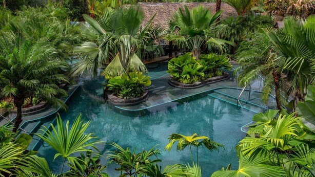 An indoor pool surrounded by lush tropical plants. - Tabacon Thermal Resort AND SPA (La Fortuna)