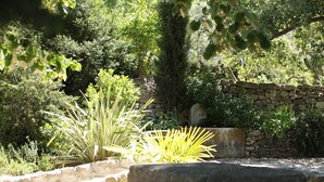 A garden with various plants and a stone wall. - Authentic farmhouse in Saint Remy de Provence (Saint-Rémy-de-Provence)