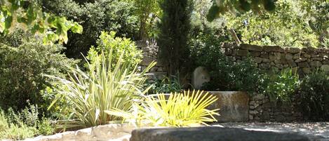 A garden with various plants and a stone wall.