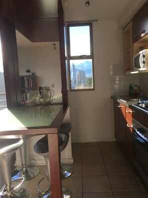 Loft | Private kitchen | Fridge, microwave, stovetop, cookware/dishes/utensils - Amistar Apartments (Santiago)