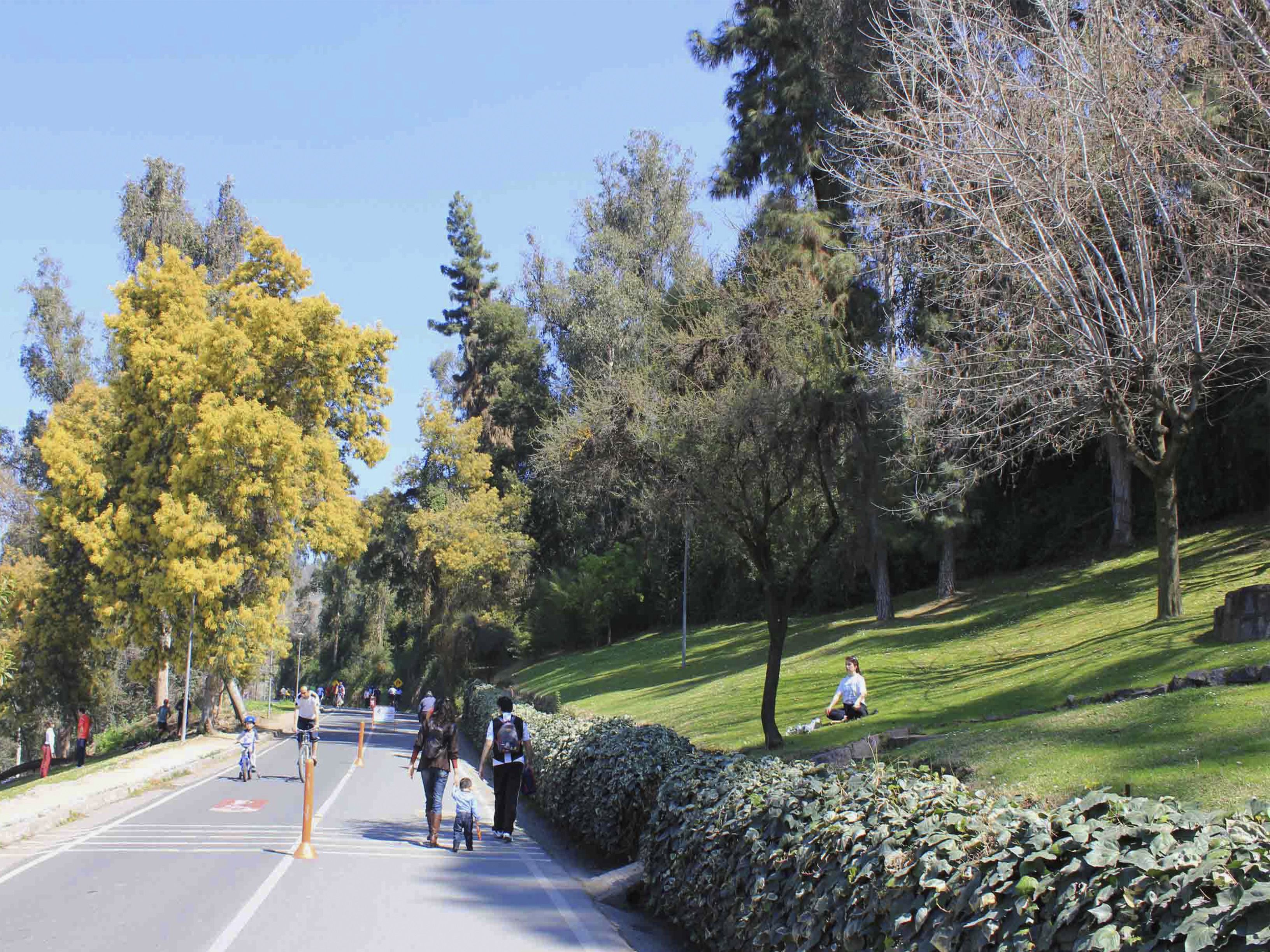 A park with a paved path, trees, and people walking and cycling.