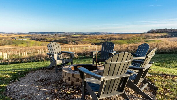 A view of a vineyard with a fire pit and Adirondack chairs. - Minutes to Galena.  Bird Cottage @ Sorriso Vineyard Galena Illinois (Galena)