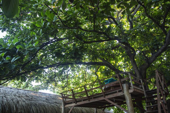 豪華雙人房, 1 張加大雙人床, 非吸煙房 | 露台/庭院