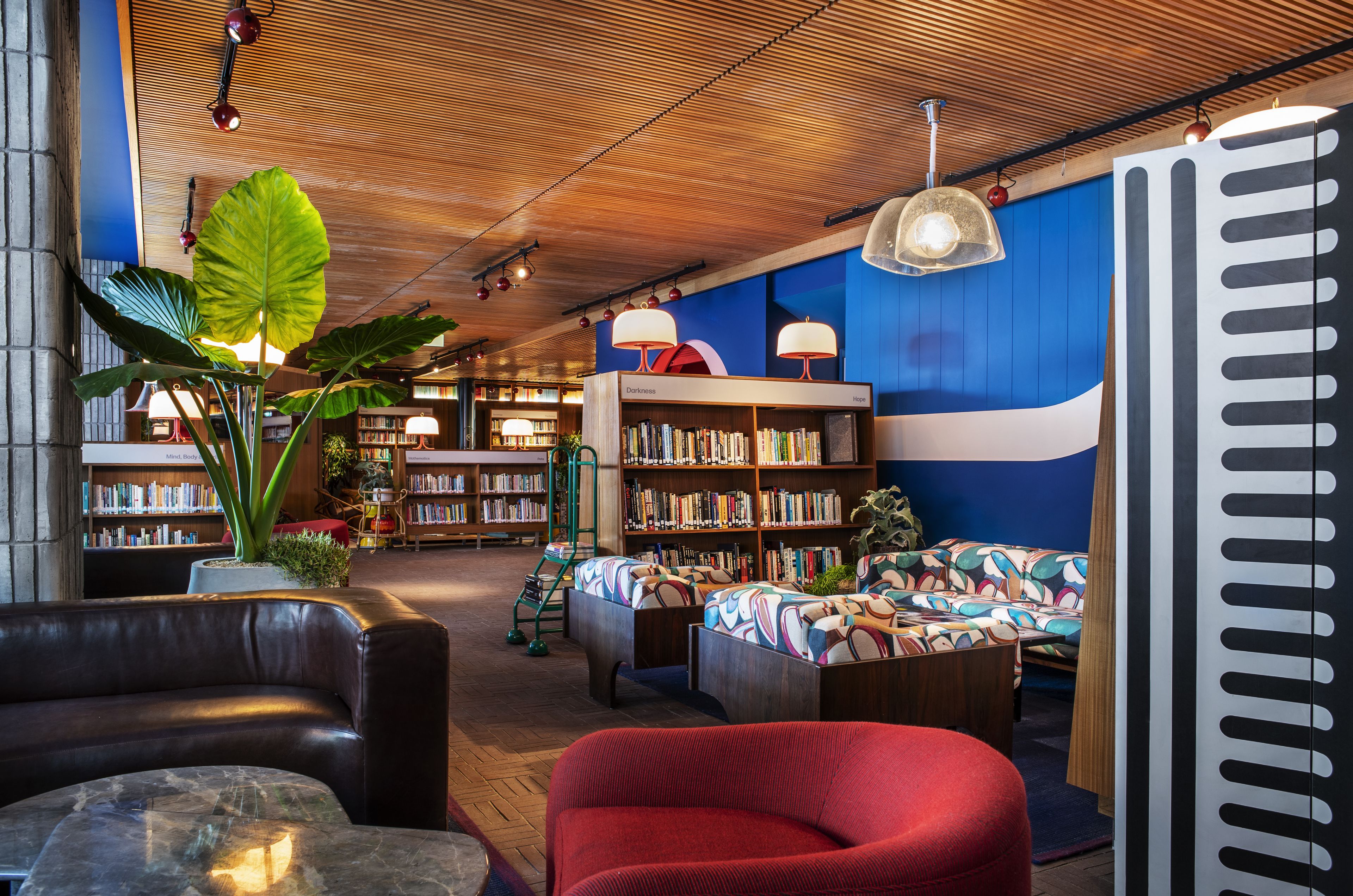 A modern library with bookshelves, seating areas, and a large plant.