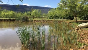 A tranquil pond surrounded by lush greenery and trees, with a clear sky above. - Millstream Inn Guesthouse (Hartbeespoort)