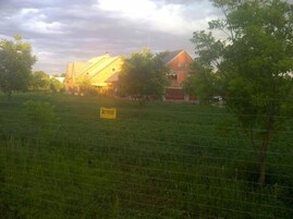 Una propiedad rural con un campo extenso, un edificio de techo amarillo y un cartel en primer plano.