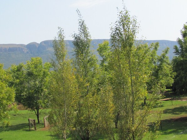 A lush green landscape with trees and a distant mountain range. - Millstream Inn Guesthouse (Hartbeespoort)