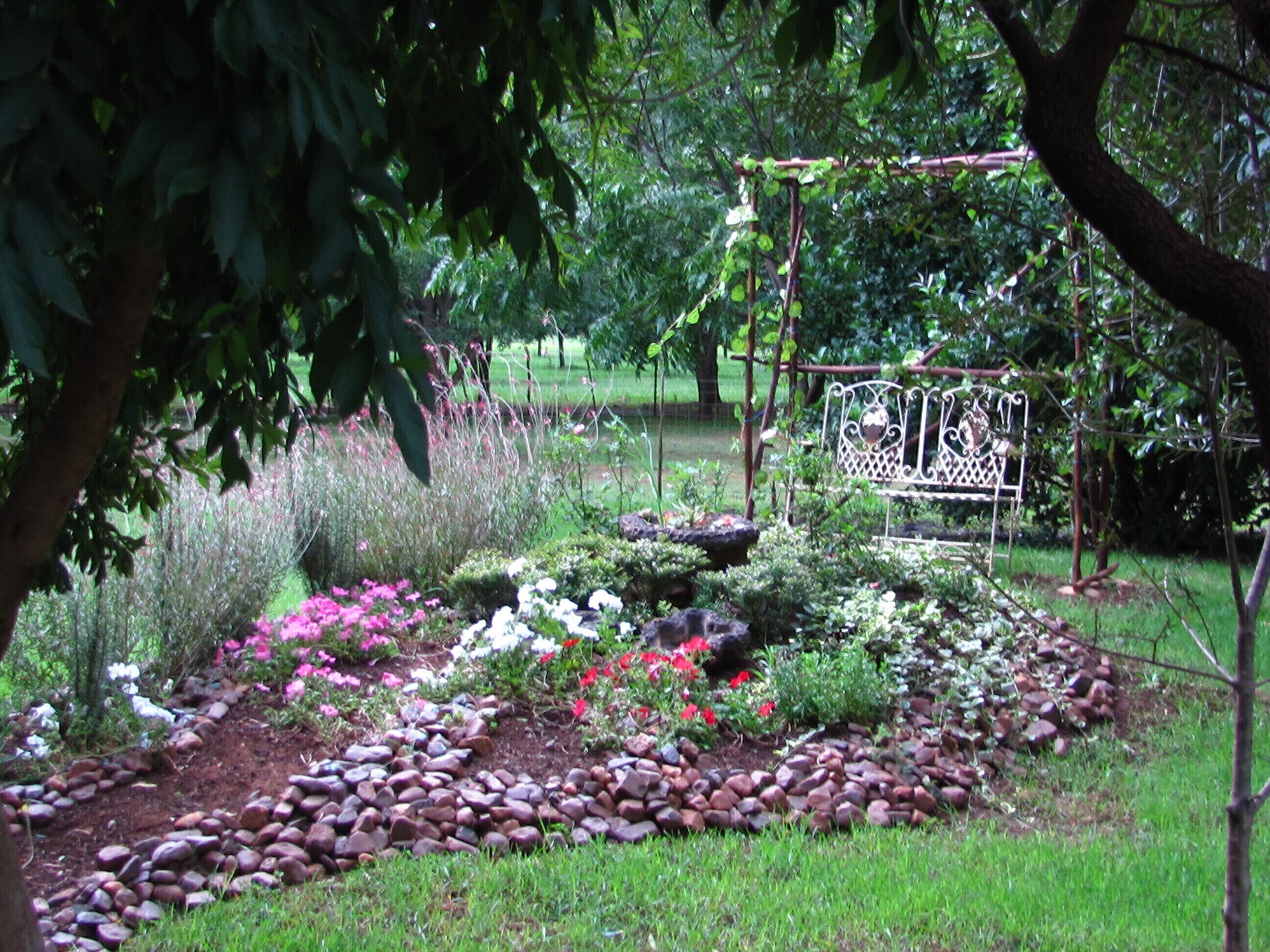 A garden with a metal bench, a rock border, and various plants.
