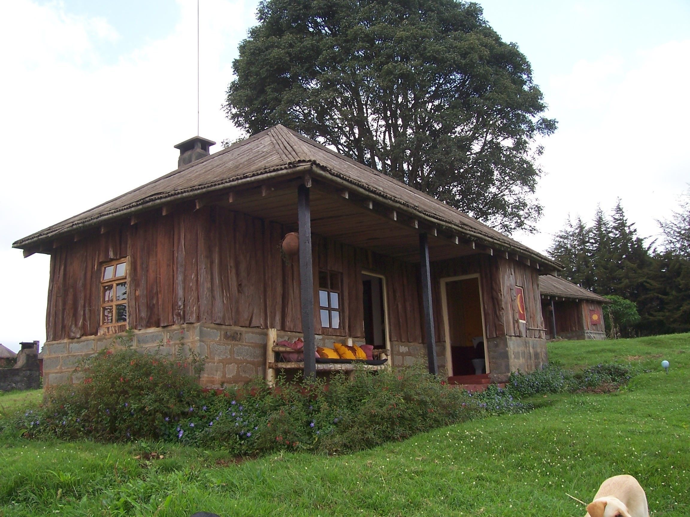 Een rustieke houten hut met een veranda, omgeven door groen en een grote boom.