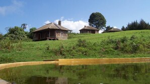A rustic house with a sloped roof, situated on a grassy hill with a pond in the foreground. - Castle Forest Lodge (Kimunye)