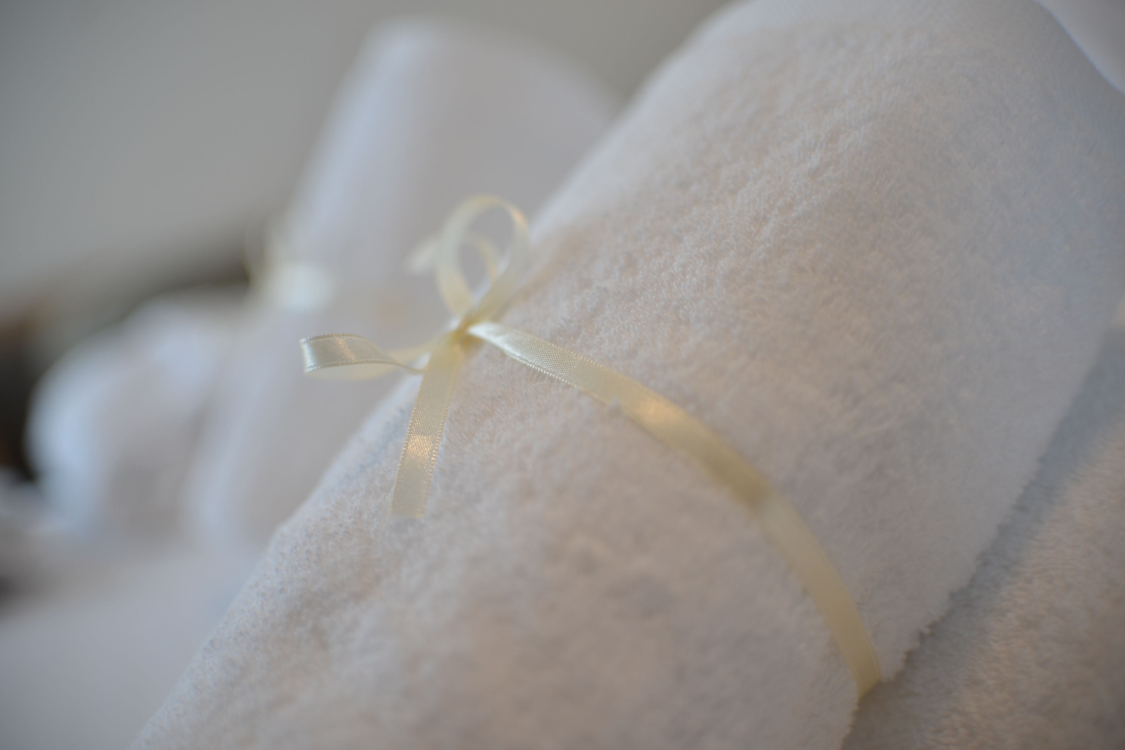 shower, rainfall showerhead, designer toiletries, hair dryer