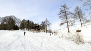Wintersport/Ski