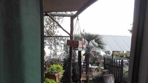 Une vue d’un jardin avec une balançoire en bois, un palmier et une zone délimitée par une clôture.