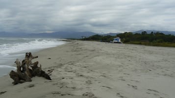 بالقرب من الشاطئ، كراسي للتشمس