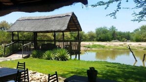 A thatched-roof gazebo with a wooden railing, surrounded by a grassy area and a pond. - Chinaka Game Lodge (Vivo)