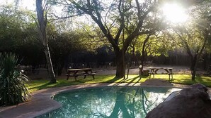 A swimming pool with a picnic table and benches, surrounded by trees and a grassy area. - Chinaka Game Lodge (Vivo)