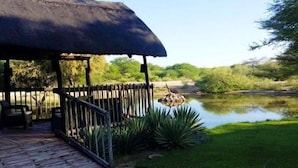 A covered outdoor seating area with a wooden deck and a thatched roof, overlooking a pond and greenery. - Chinaka Game Lodge (Vivo)