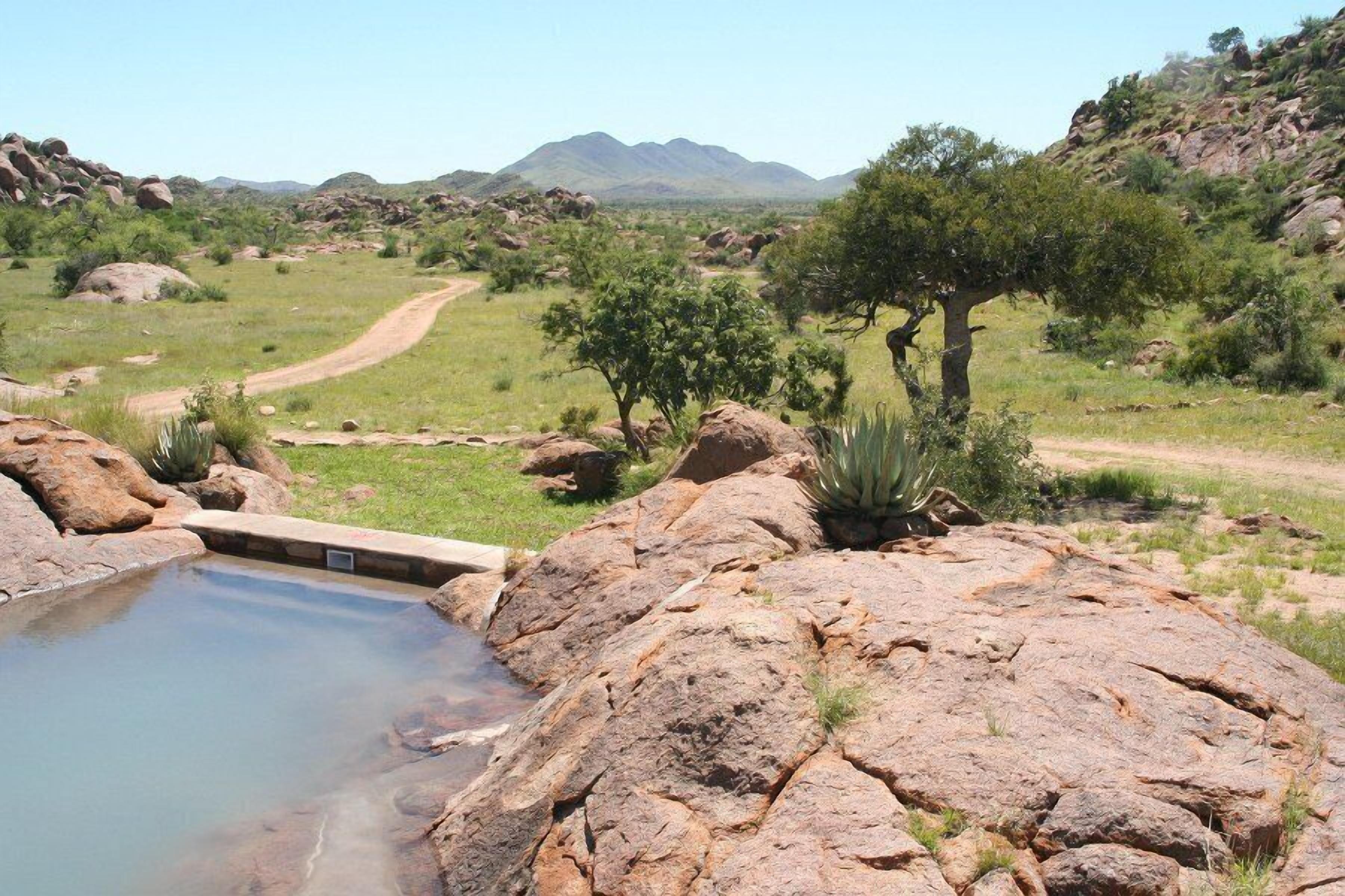 Piscina externa